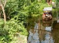 27 - Blick von oben auf den Urwaldfluss